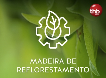 Meio Ambiente