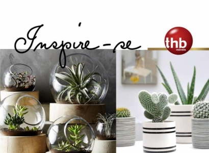 Inspire-se!
