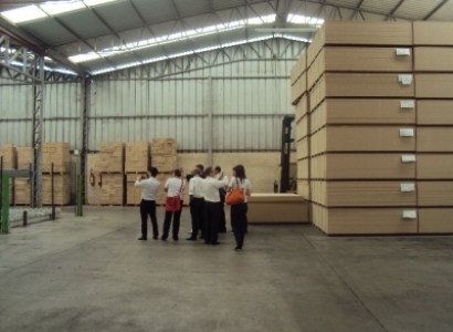 Visita colaboradores Magazine Luiza